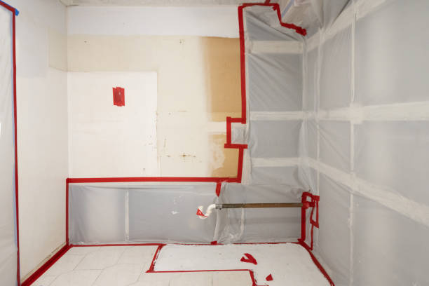 Best Residential Mold Inspection & Testing  in USA